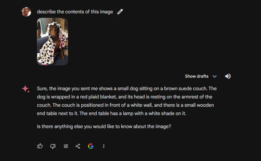 A screenshot showing Gemini describing a picture of a doberman